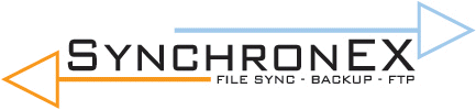SynchronEX logo