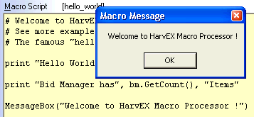 Hello World macro